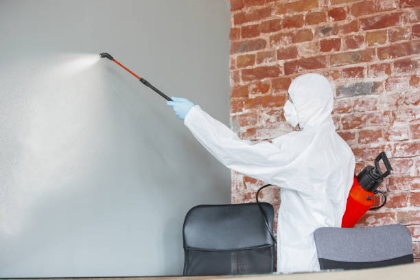 Best Biohazard Mold Removal  in Moosup, CT