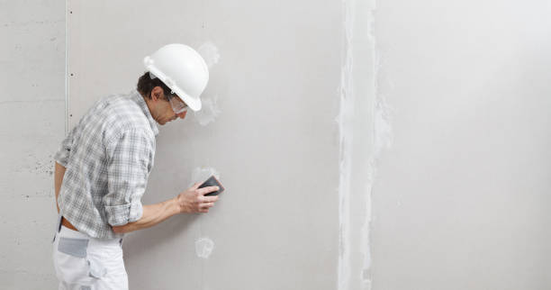 Best Environmental Consulting for Mold Prevention  in Moosup, CT