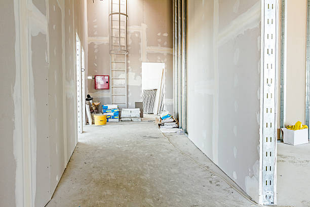 Reliable Moosup, CT Mold Removal Solutions