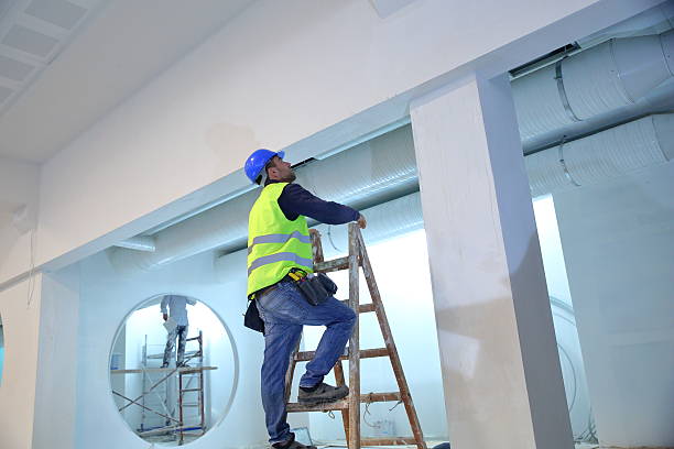 Best Mold Damage Restoration  in Moosup, CT