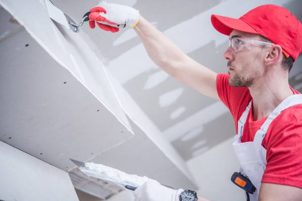 Best Mold Damage Restoration  in Moosup, CT