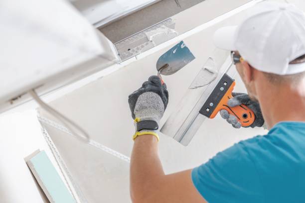 Best Water Damage & Mold Remediation  in Moosup, CT